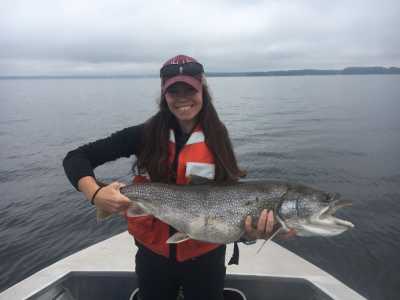 Adult lake trout captured by angling