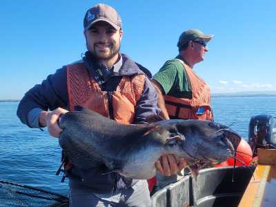 Channel catfish collected while assisting state biologists