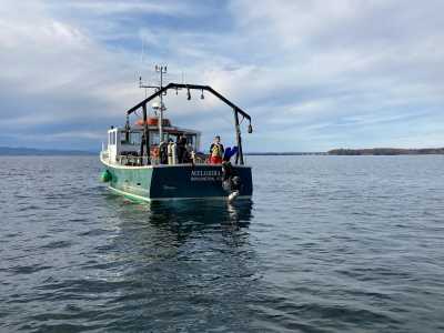 Rolling off the back of the R/V Melosira for scuba surveys