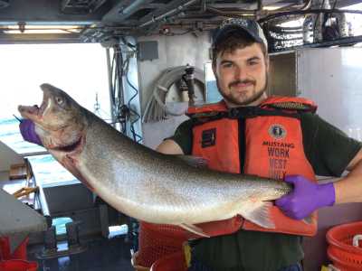 Lake trout collected while assisting USGS biologists