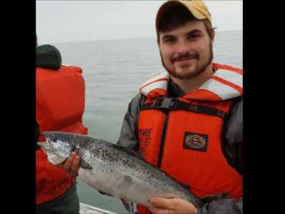 Atlantic salmon collected with gillnets