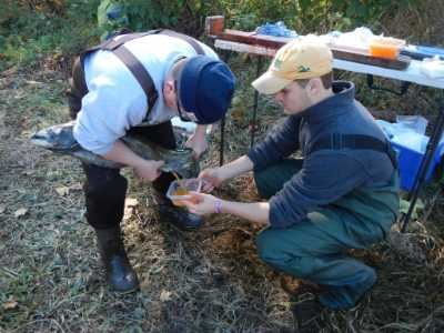 Stripping eggs from a Chinook salmon for biochemical analyses